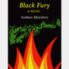 Black Fury - A Novel