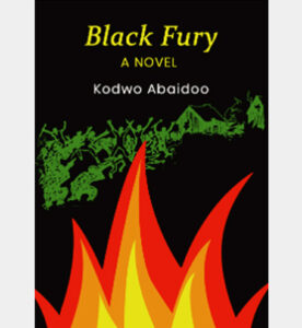 Black Fury - A Novel