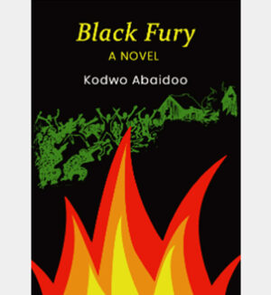 Black-fury Black Fury - A Novel