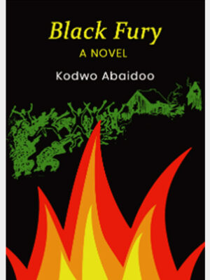 Black Fury - A Novel